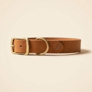 full grain leather collar — Reinvention Pet Co.
