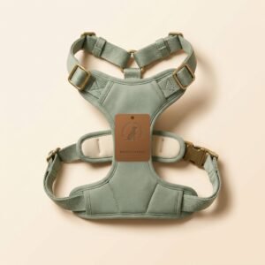 step in padded harness — Reinvention Pet Co.
